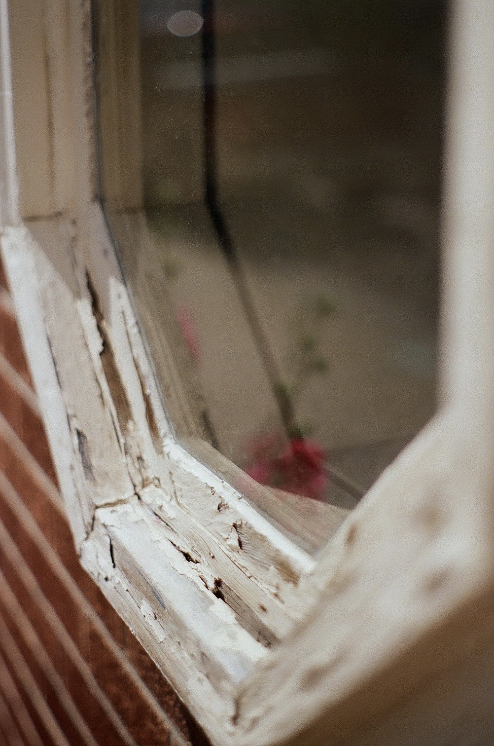 Americana, photograph 18 of 26 by Adi Jahic