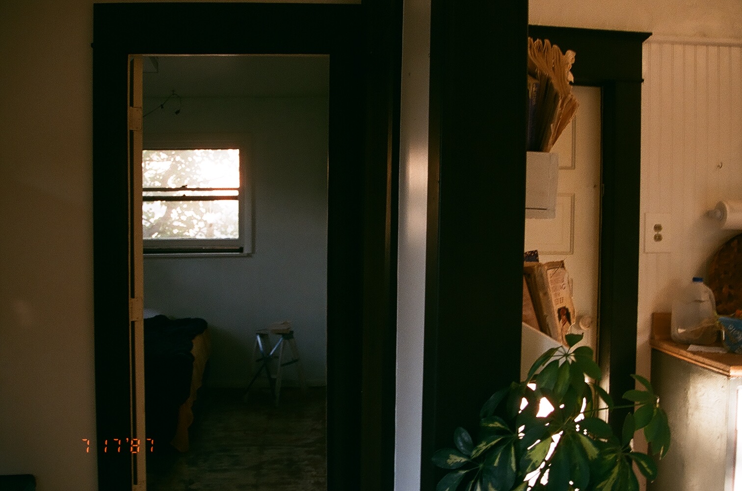 Americana, photograph 15 of 26 by Adi Jahic