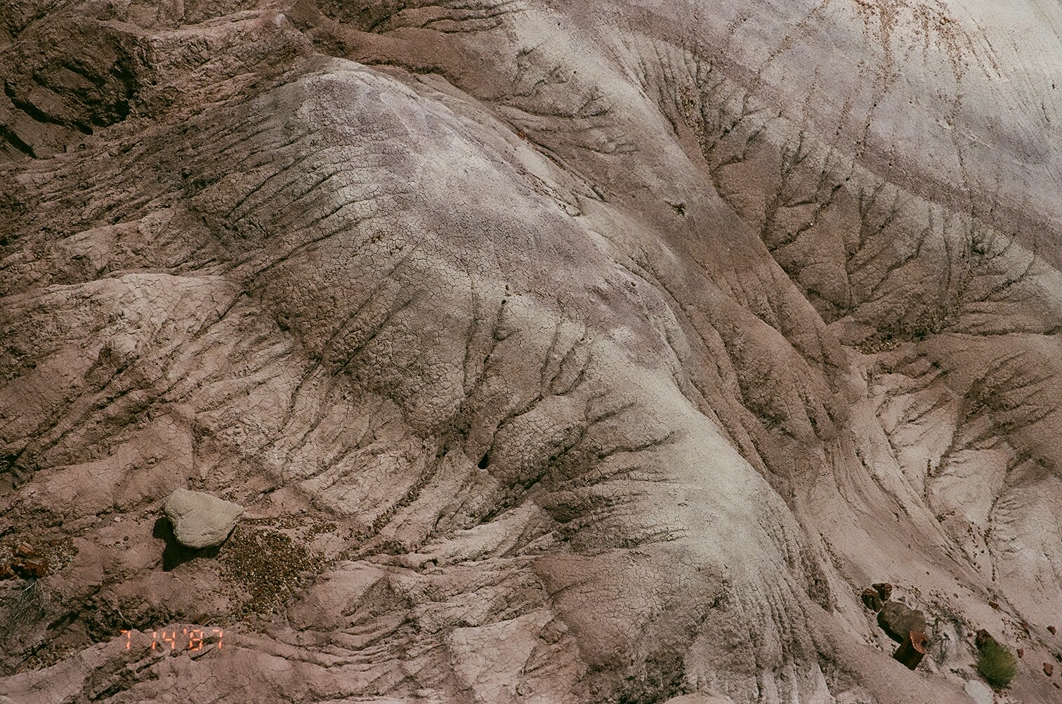 Americana, photograph 23 of 26 by Adi Jahic