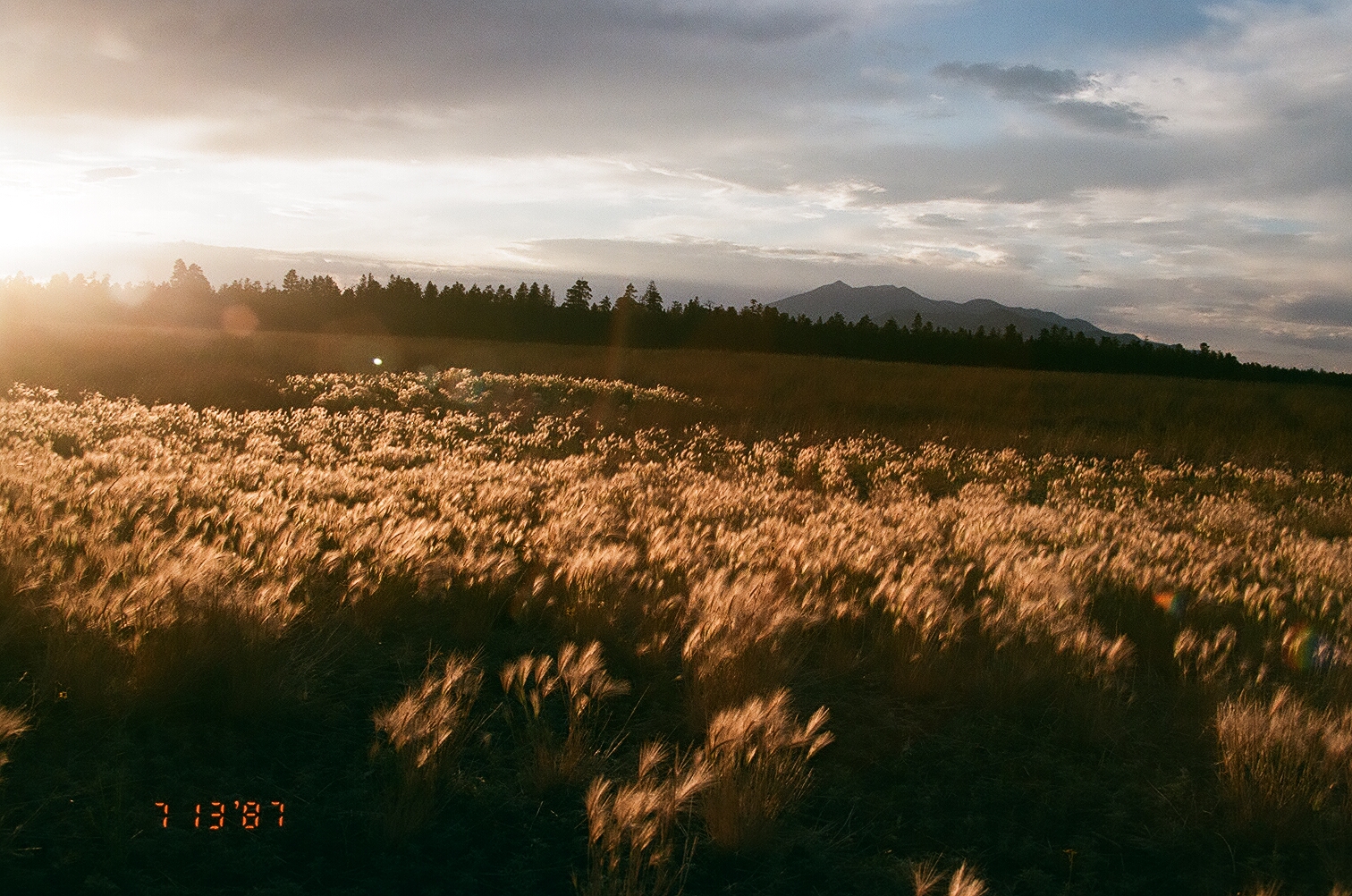 Americana, photograph 9 of 26 by Adi Jahic