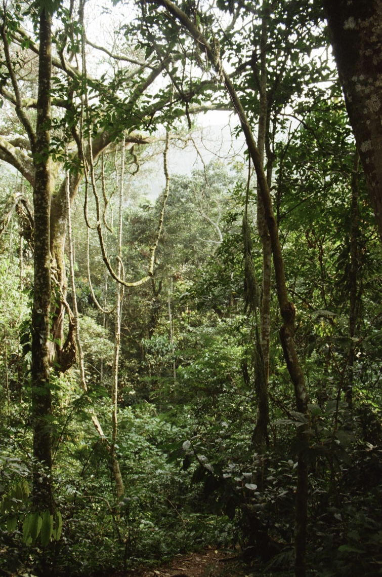 Uganda, photograph 22 of 24 by Adi Jahic