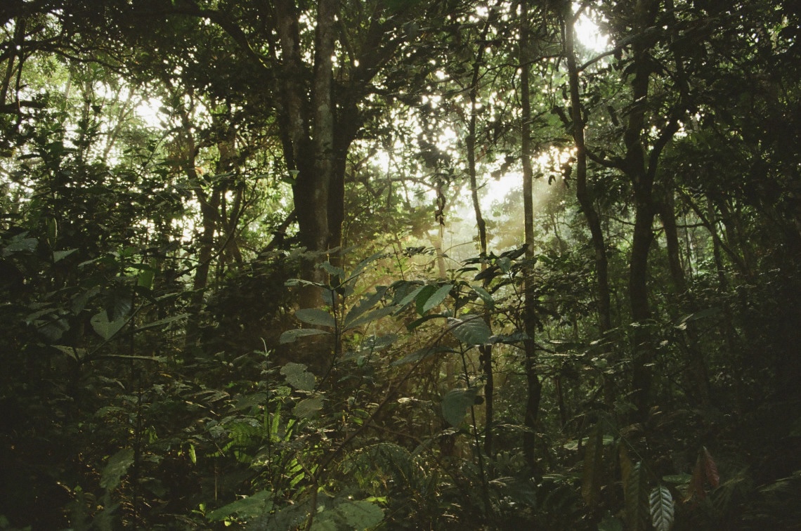 Uganda, photograph 10 of 24 by Adi Jahic