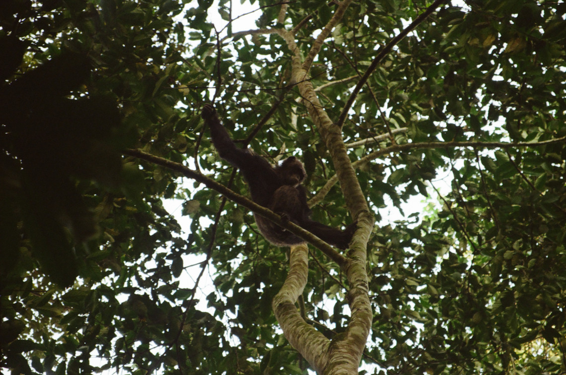 Uganda, photograph 14 of 24 by Adi Jahic