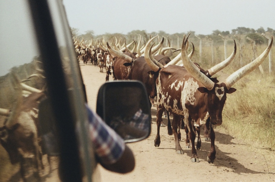 Uganda, photograph 9 of 24 by Adi Jahic