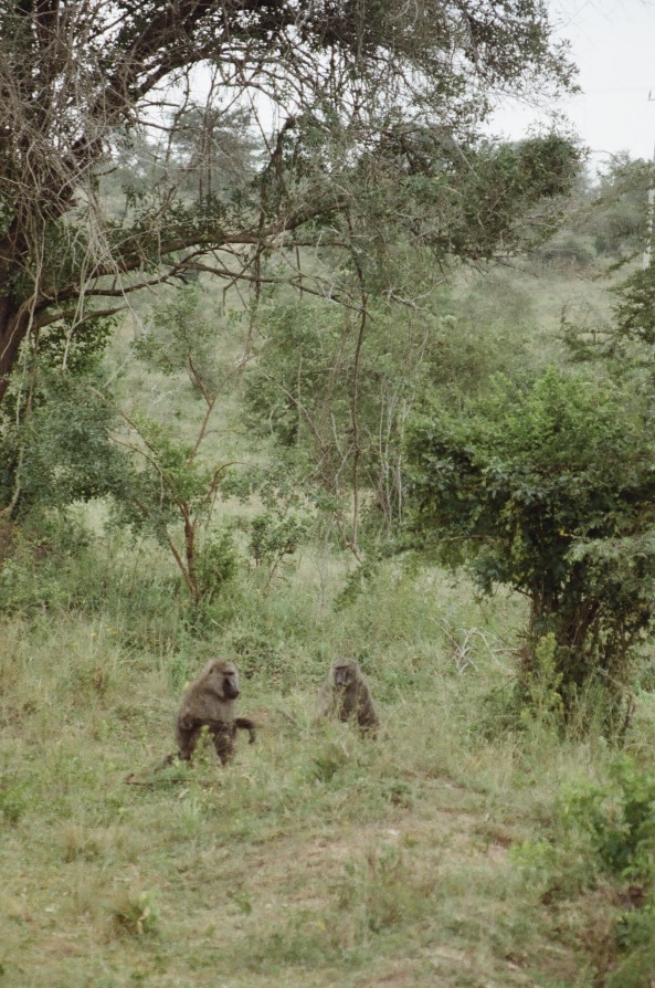 Uganda, photograph 20 of 24 by Adi Jahic
