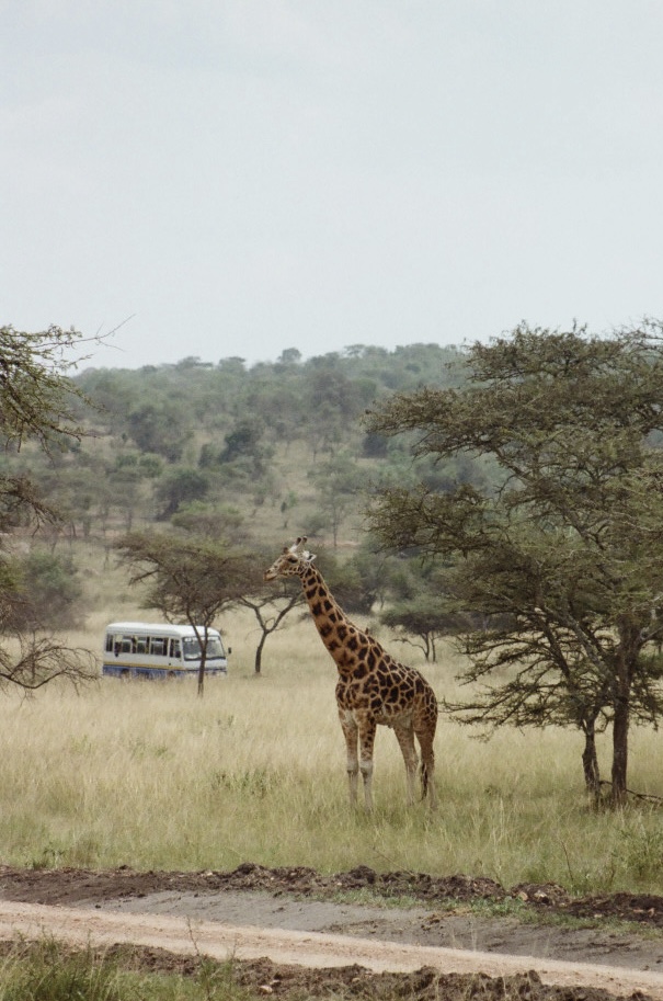 Uganda, photograph 12 of 24 by Adi Jahic